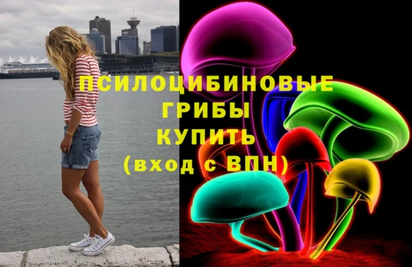 гидропоника Гусев