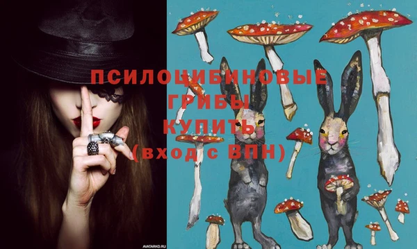 круглые Алексеевка