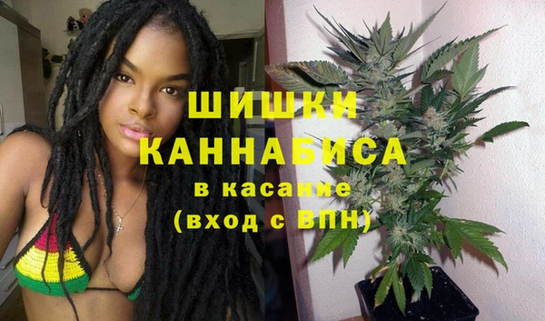 МДПВ Алексин