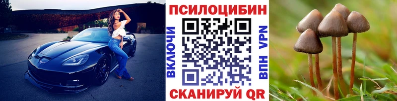 наркотики Удомля маркетплейс состав Псилоцибиновые грибы GOLDEN TEACHER